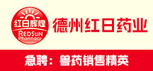 德州红日药业有限公司